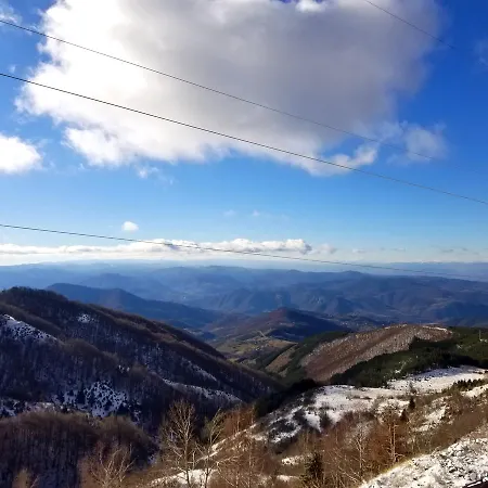 Milmari M5 - Mountain Mist *