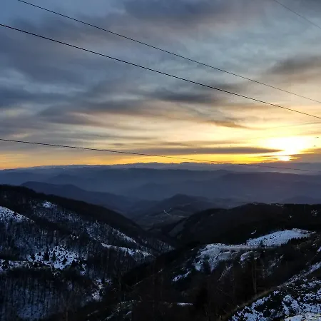 Milmari M5 - Mountain Mist